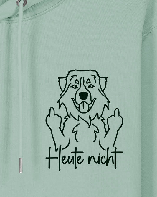 Heute nicht - Berner Sennenhund - Motiv