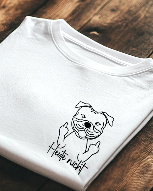 Motiv nah - Heute nicht - Staffordshire Bullterrier