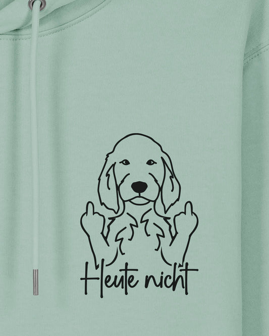 Motiv nah - Heute nicht - Irish Setter