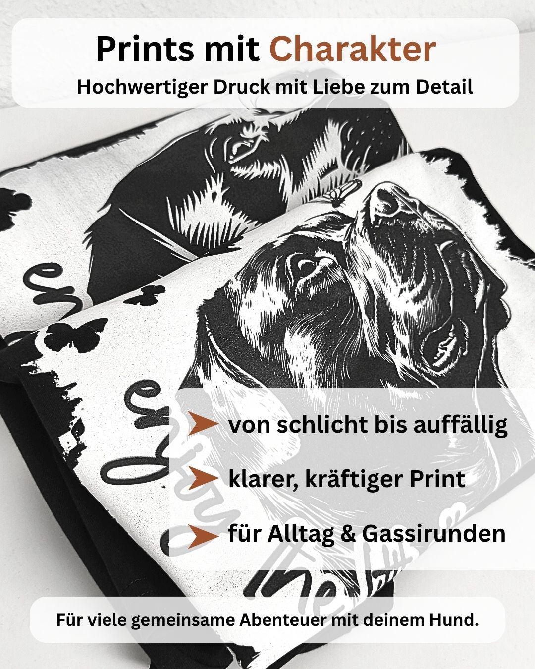 Prints mit Charakter – hochwertiger Druck für Alltag und Gassirunden