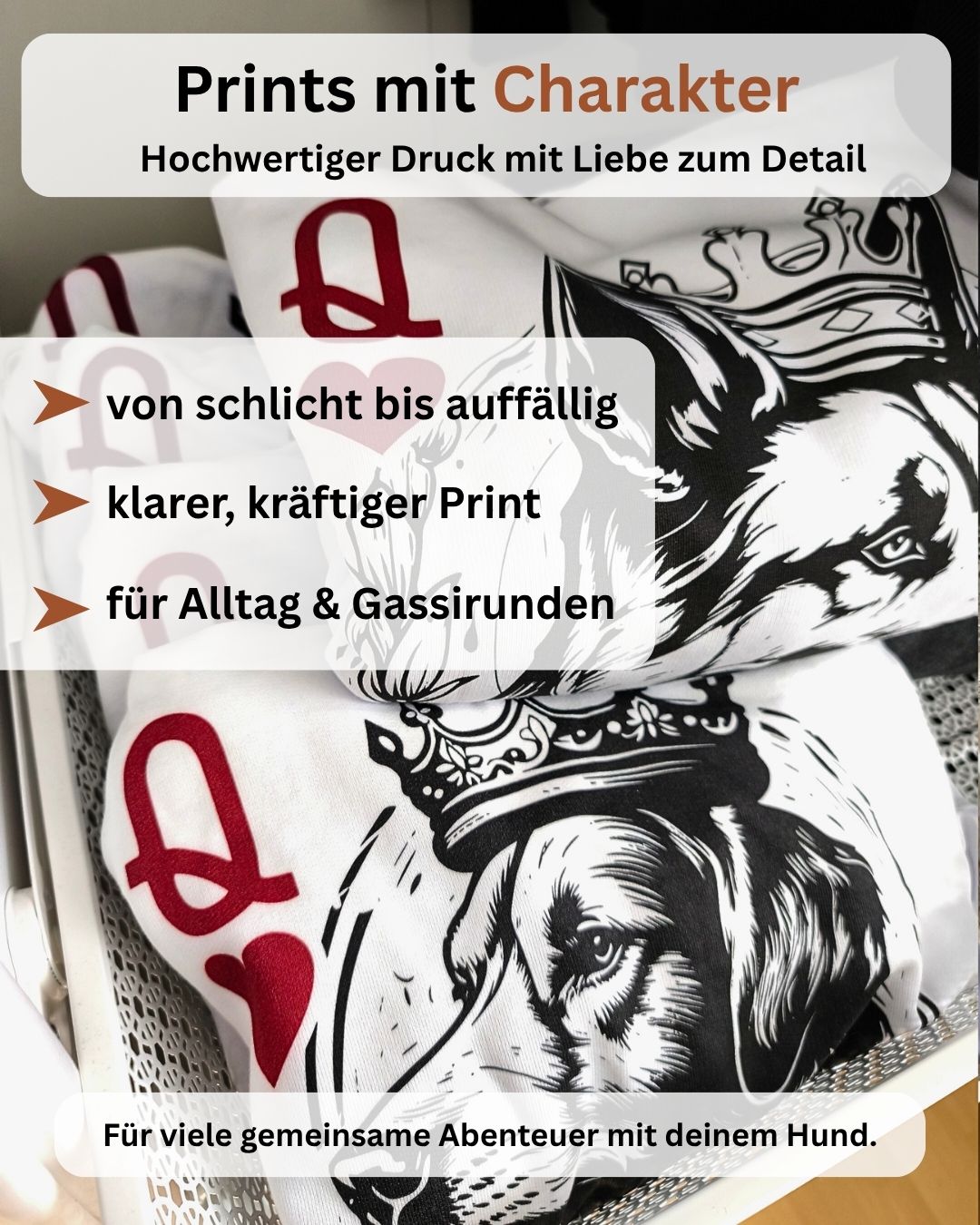 Prints mit Charakter – hochwertiger Druck für Alltag und Gassirunden