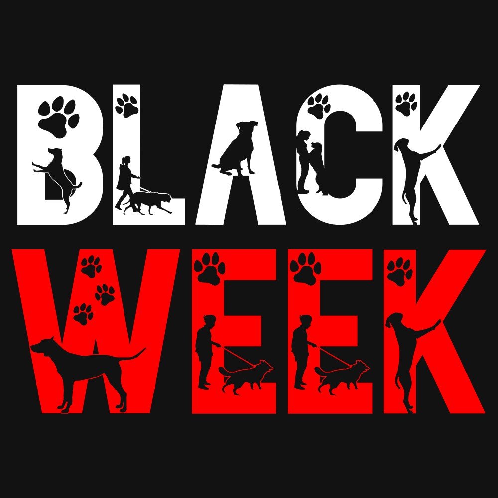 Black-Deal - Multitalenty
