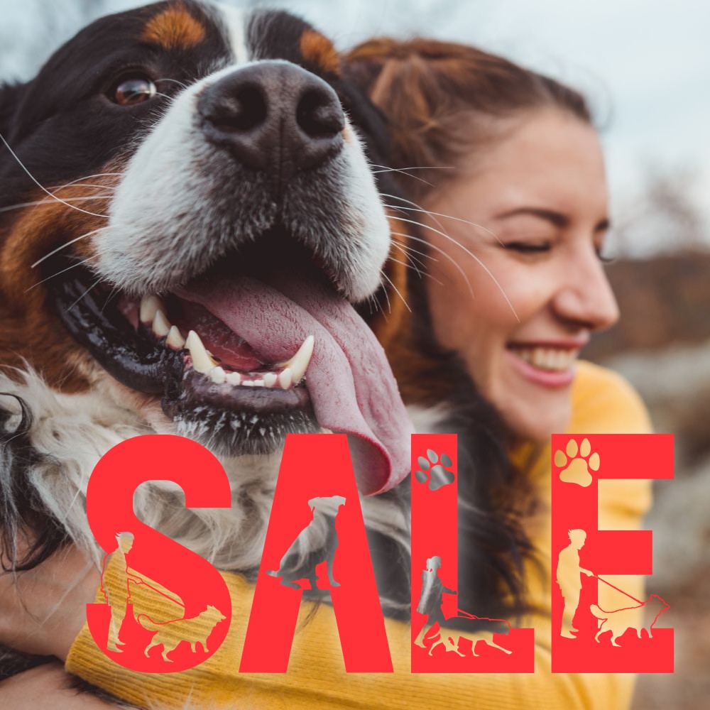 SALE - Multitalenty