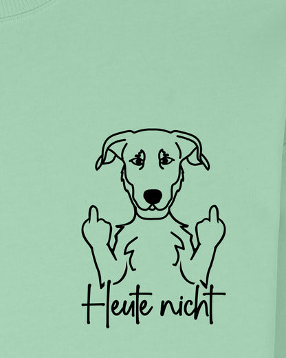 Heute nicht - Beauceron - Motiv