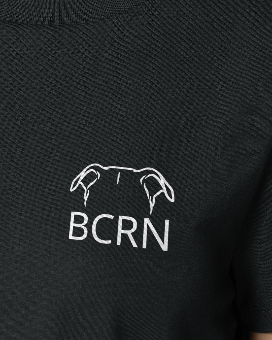 Beauceron - Metaplasmus - Motiv