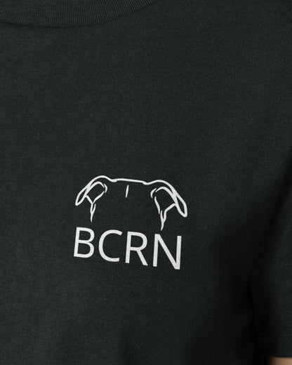 Beauceron - Metaplasmus - Motiv