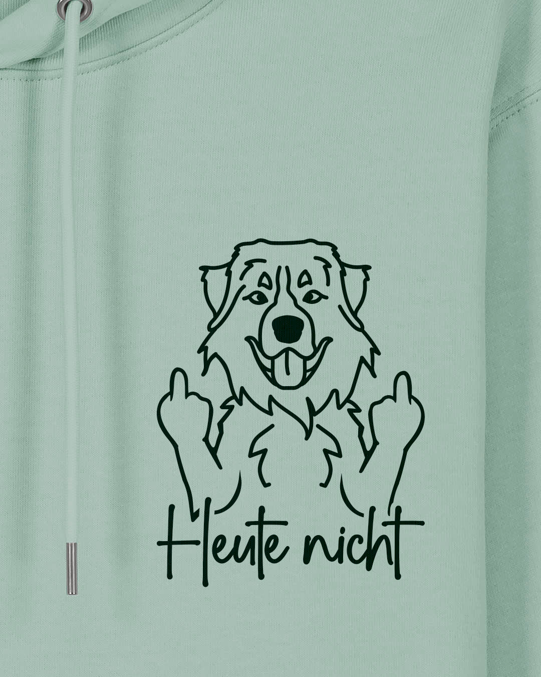 Heute nicht - Berner Sennenhund - Motiv