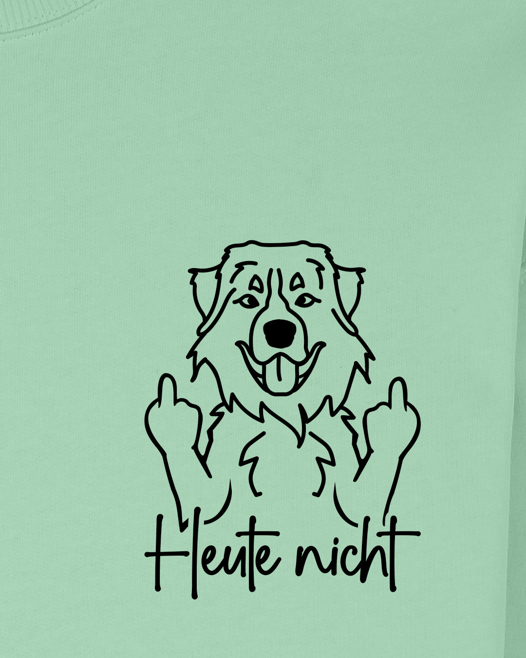 Heute nicht - Berner Sennenhund - Motiv