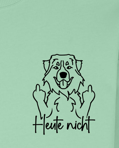 Heute nicht - Berner Sennenhund - Motiv