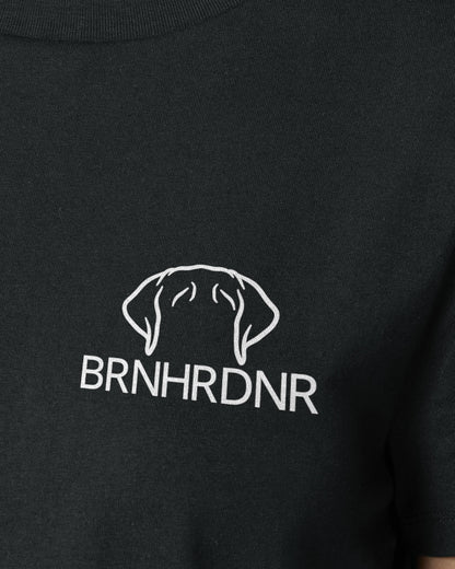 Bernhardiner - Metaplasmus - Motiv