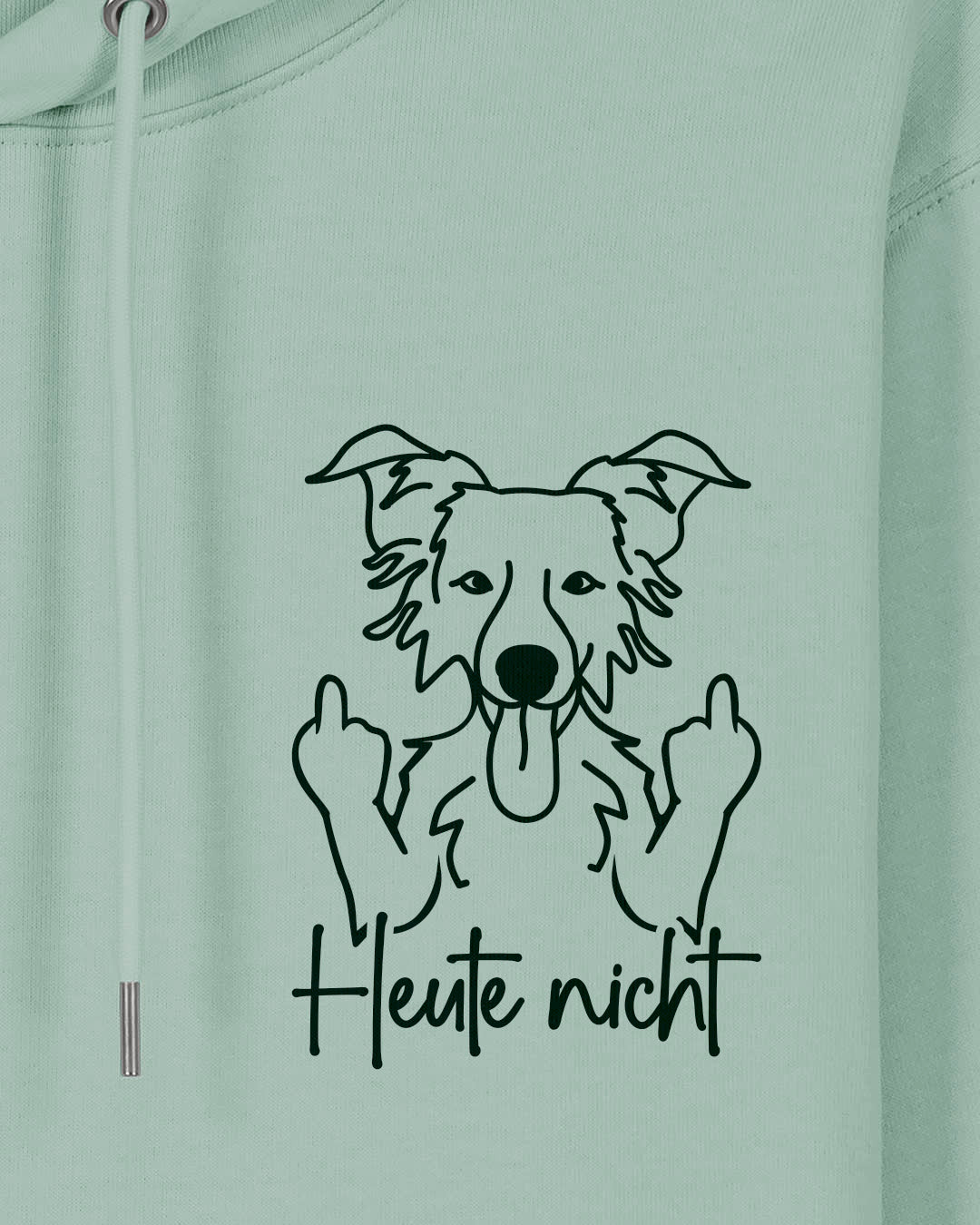 Heute nicht - Border Collie - Motiv