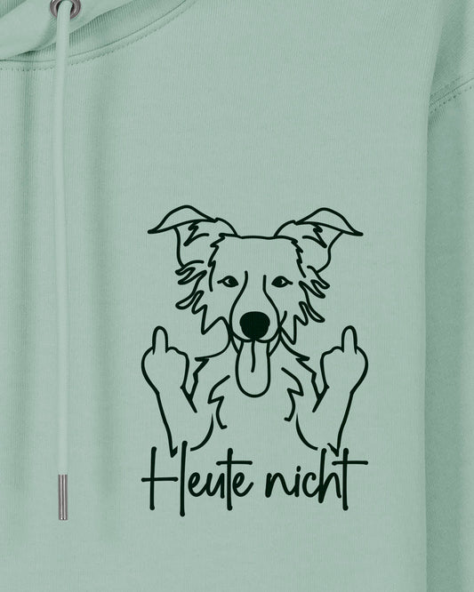 Heute nicht - Border Collie - Motiv