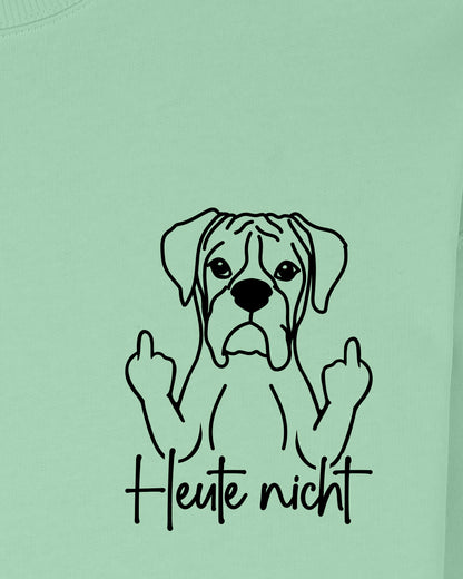 Heute nicht - Boxer - Motiv