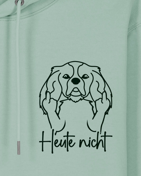 Heute nicht - Cavalier King Charles Spaniel - Motiv