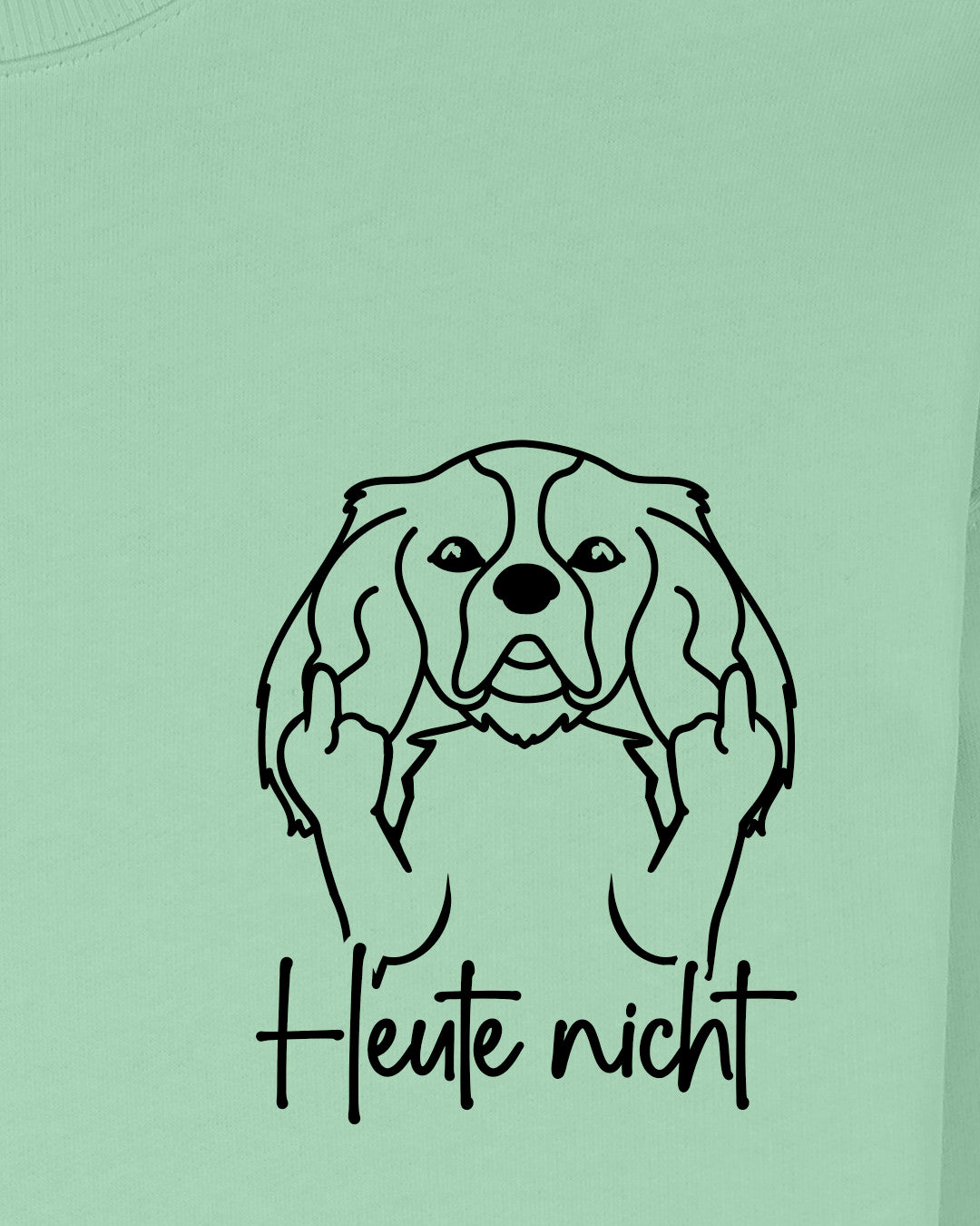 Heute nicht - Cavalier King Charles Spaniel - Motiv