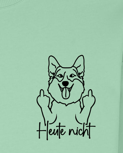 Heute nicht - Corgi - Motiv