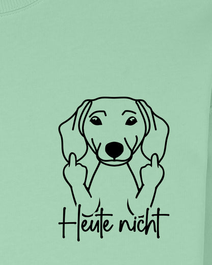 Heute nicht - Dackel (Kurzhaar) - Motiv