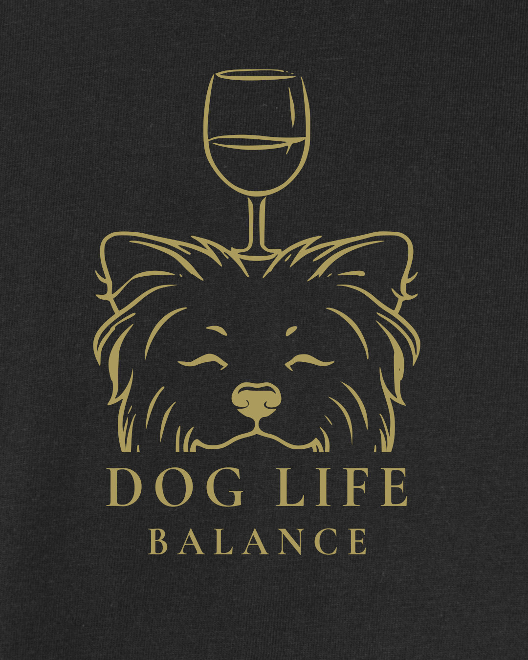 Motiv nah - Dog Life Balance - Biewer Terrier