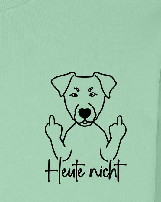 Heute nicht - Deutscher Pinscher - Motiv