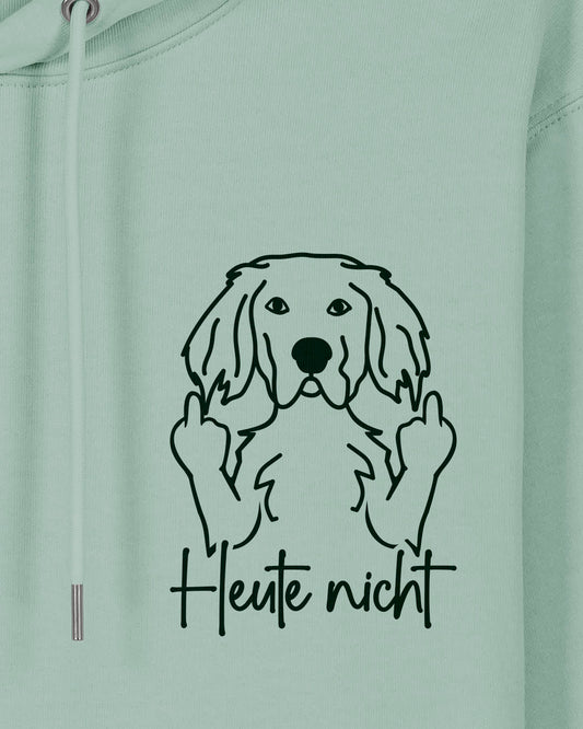 Heute nicht - English Setter - Motiv