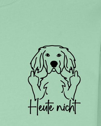 Heute nicht - English Setter - Motiv