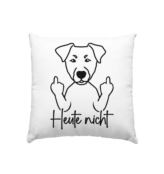 Heute nicht - Deutscher Pinscher - Kissen 40x40cm