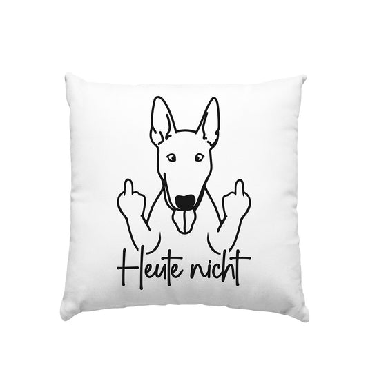 Heute nicht - Bullterrier - Kissen 40x40cm