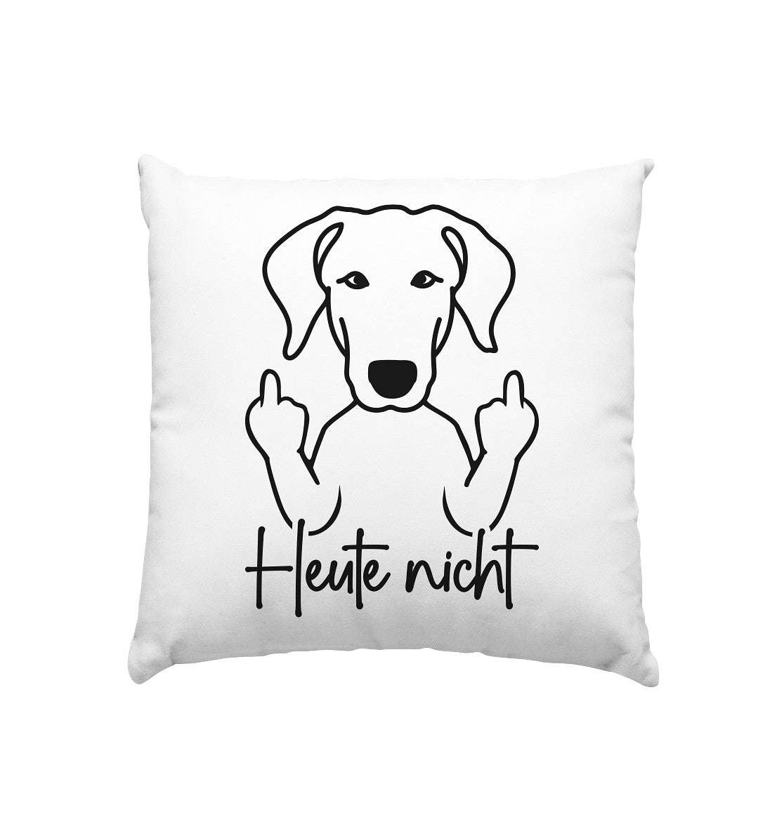 Heute nicht - Dobermann - Kissen 40x40cm