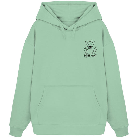 Heute nicht - Deutscher Pinscher - Organic Oversize Hoodie