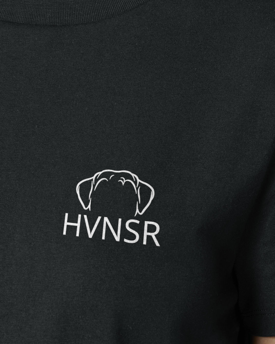 Havaneser - Metaplasmus - Motiv