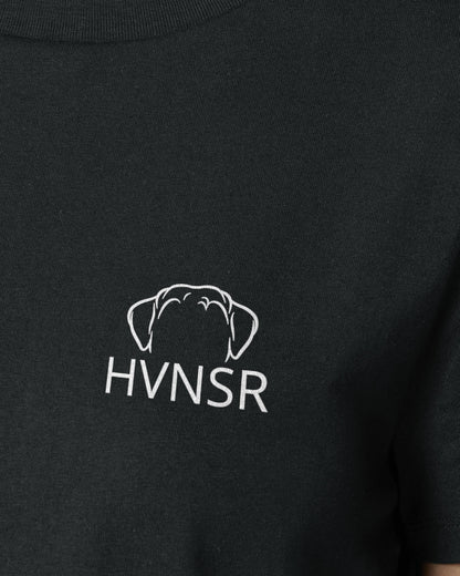 Havaneser - Metaplasmus - Motiv