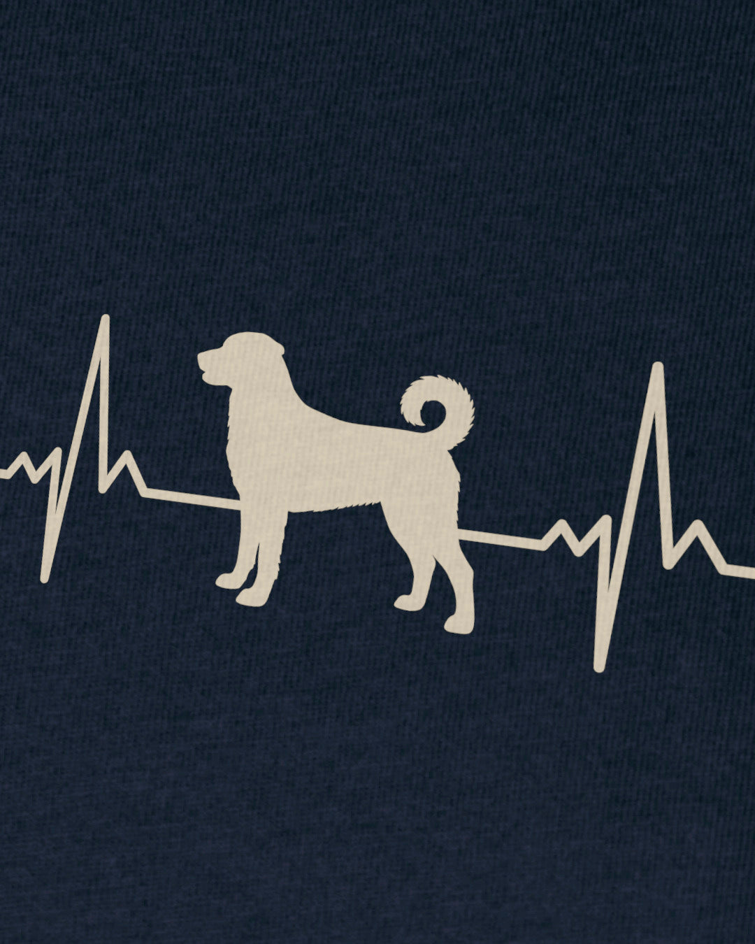 Motiv nah - Herzschlag Appenzeller Sennenhund