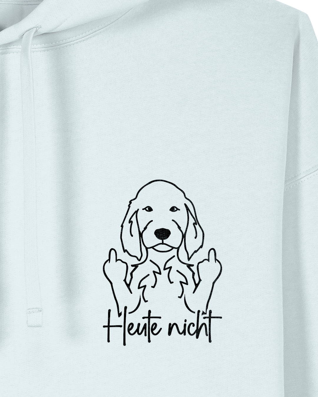Motiv nah - Heute nicht - Irish Setter