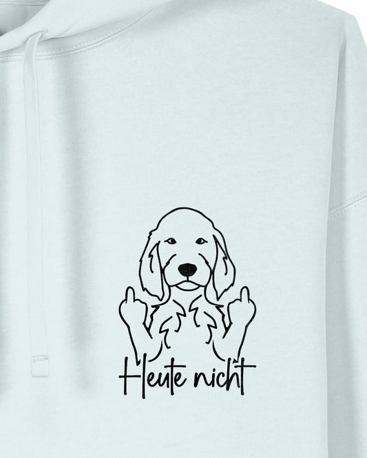 Motiv nah - Heute nicht - Irish Setter
