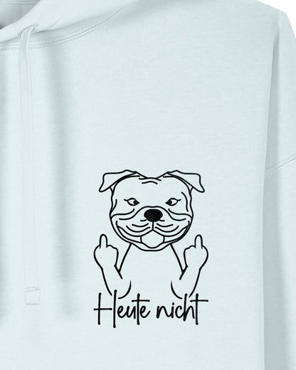 Motiv nah - Heute nicht - Staffordshire Bullterrier