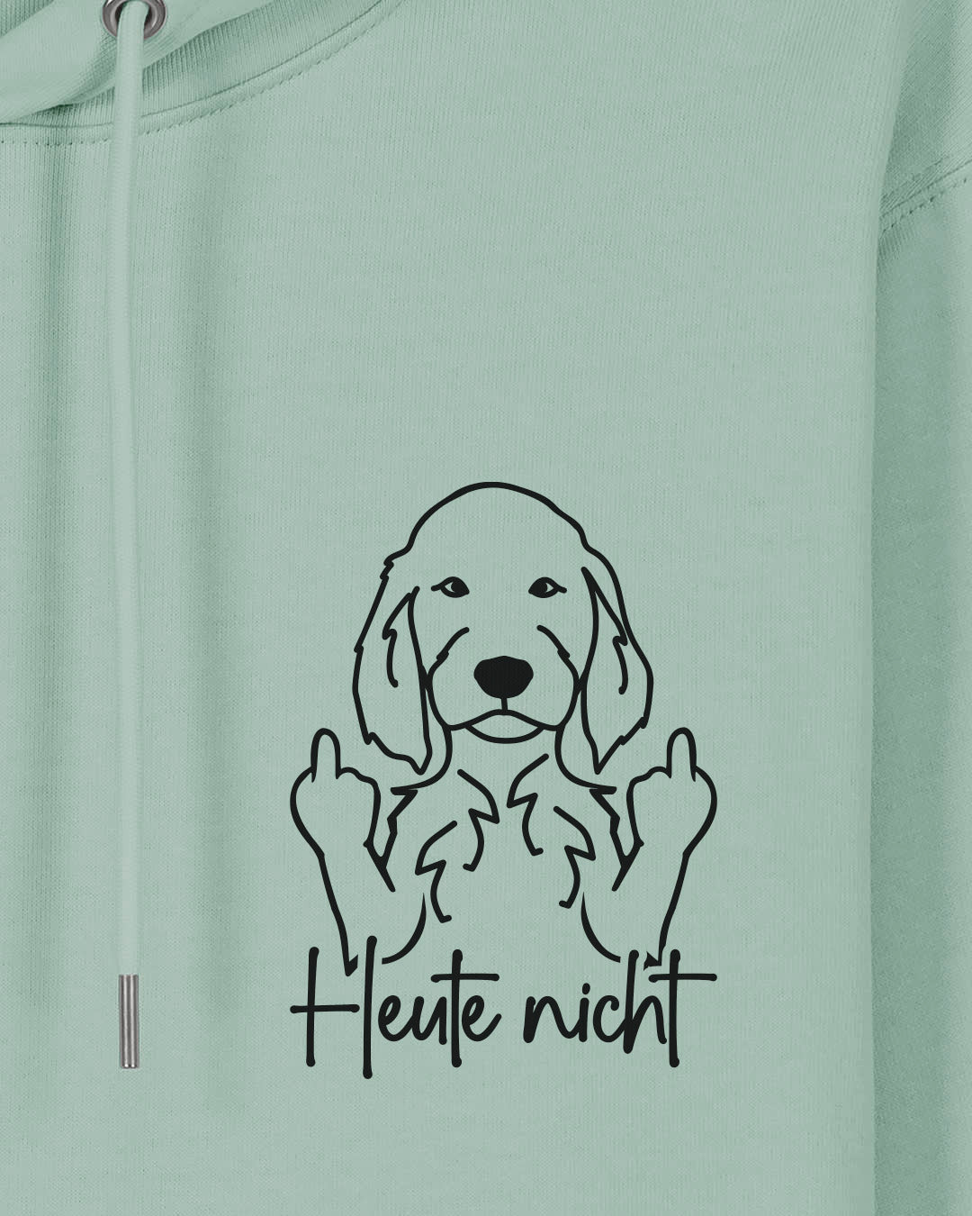 Motiv nah - Heute nicht - Irish Setter
