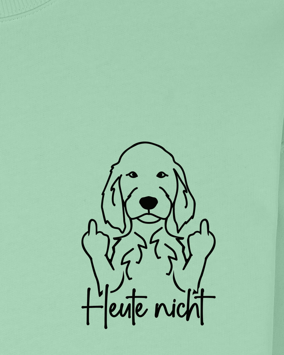 Motiv nah - Heute nicht - Irish Setter