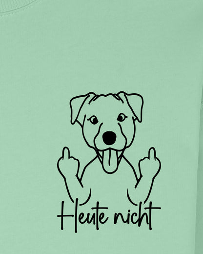 Heute nicht - Jack Russell - Motiv