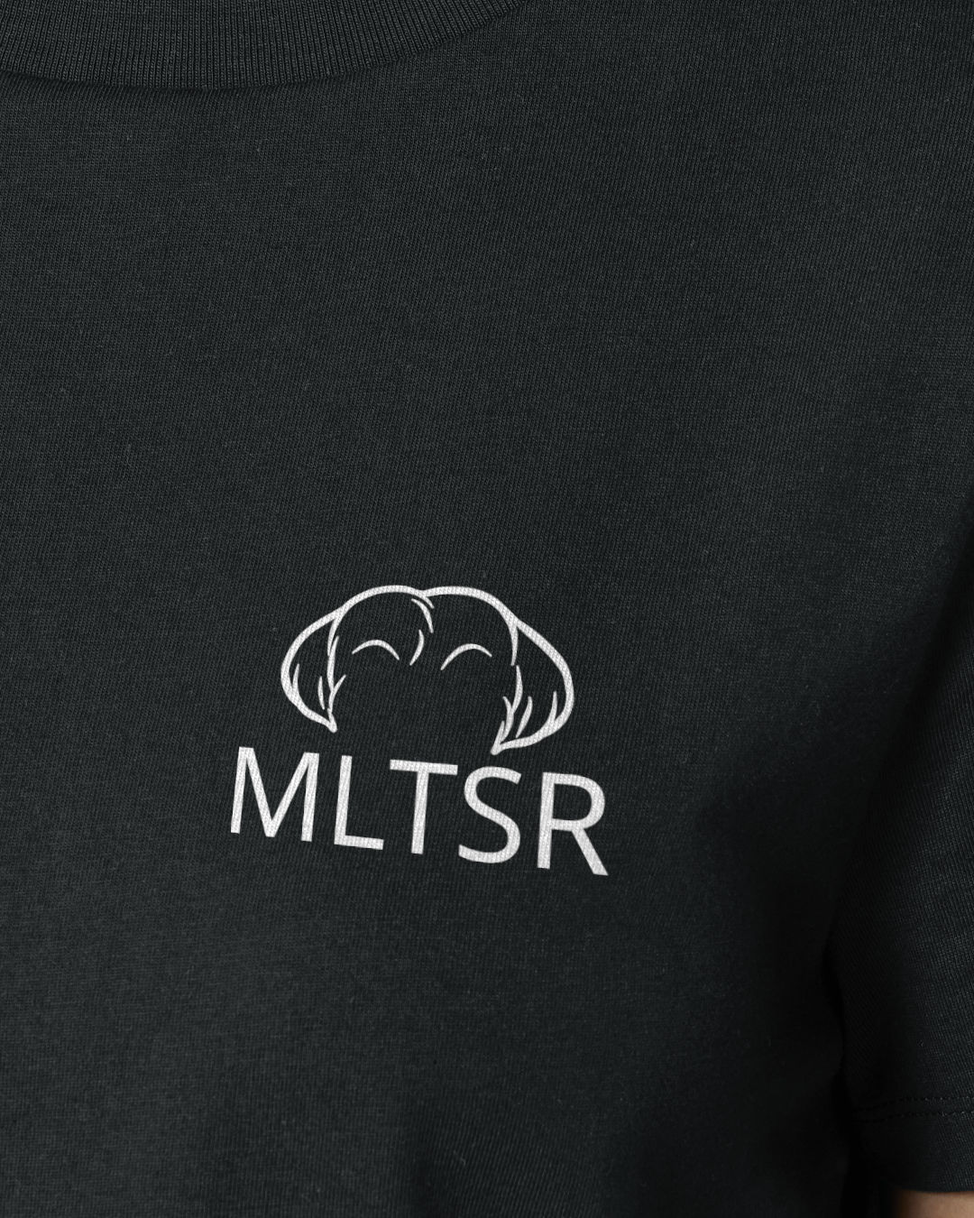 Malteser - Metaplasmus - Motiv