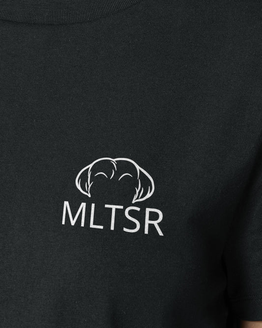 Malteser - Metaplasmus - Motiv