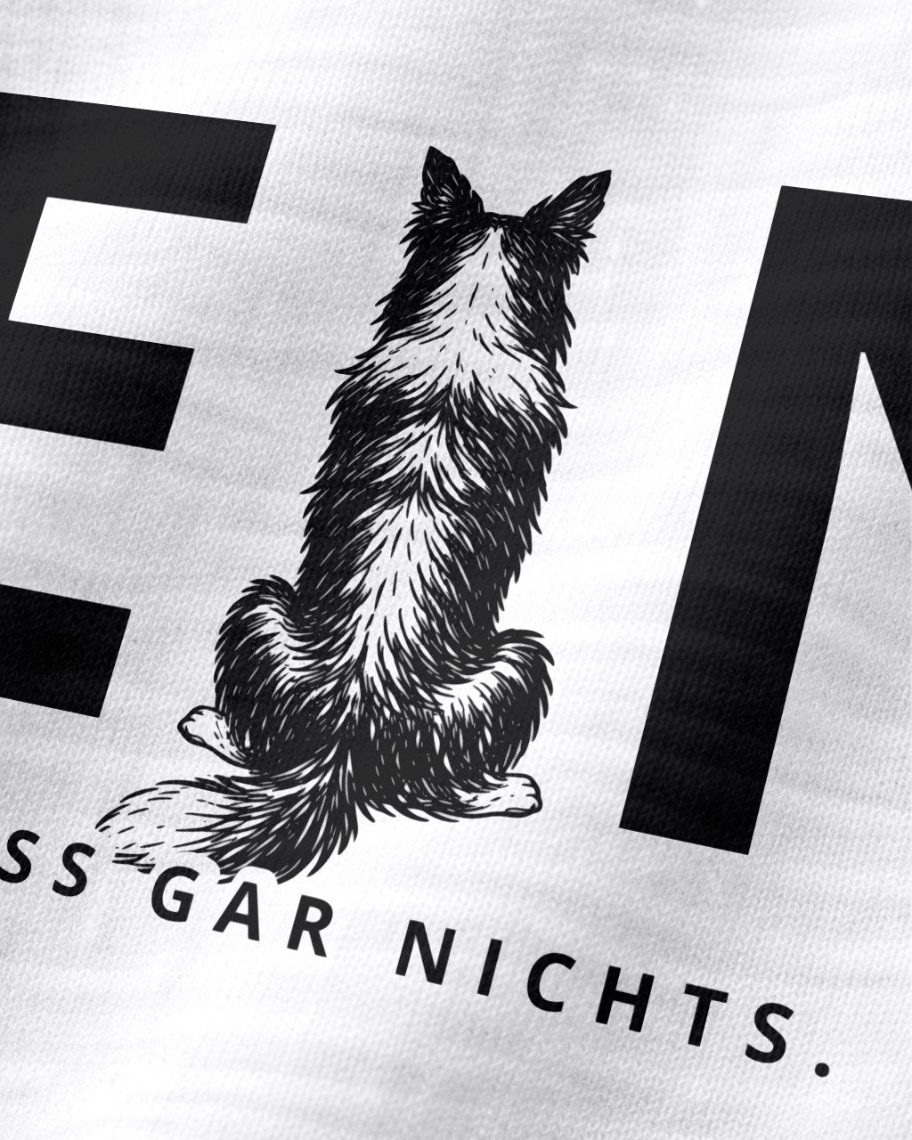 Motiv nah - Nein. Ich muss gar nichts. - Border Collie