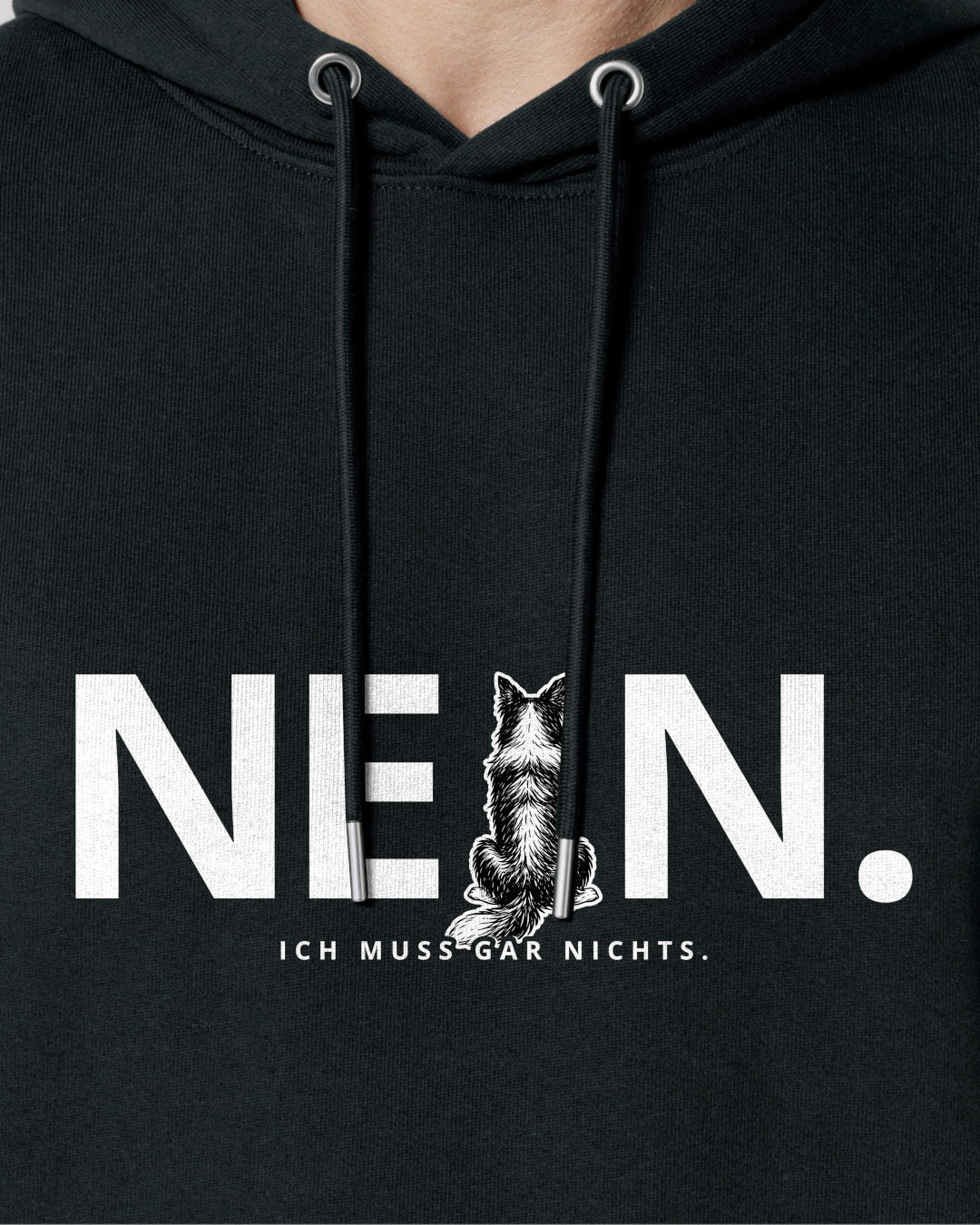 Motiv nah - Nein. Ich muss gar nichts. - Border Collie