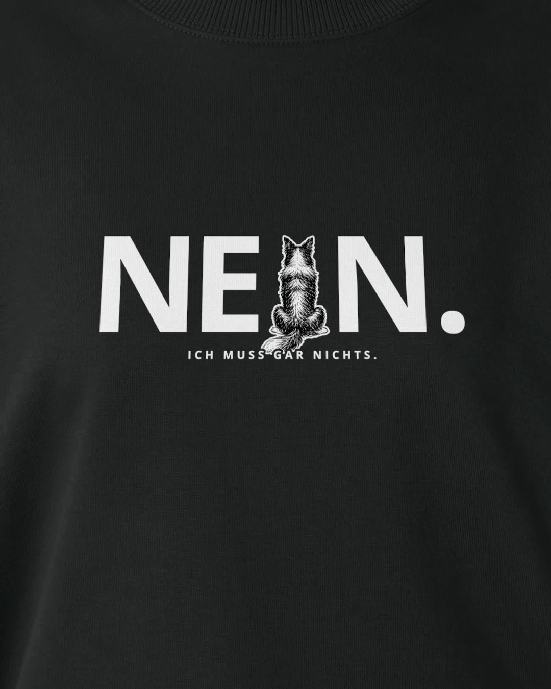 Motiv nah - Nein. Ich muss gar nichts. - Border Collie