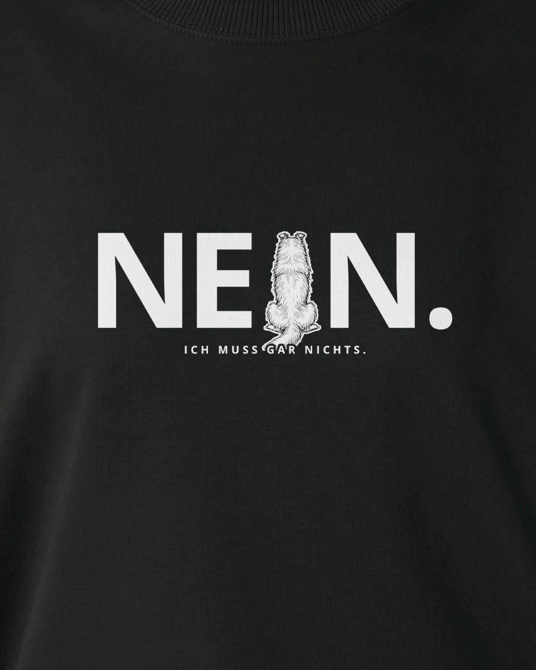 Motiv nah - Nein. Ich muss gar nichts. - Collie