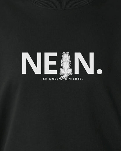 Motiv nah - Nein. Ich muss gar nichts. - Collie