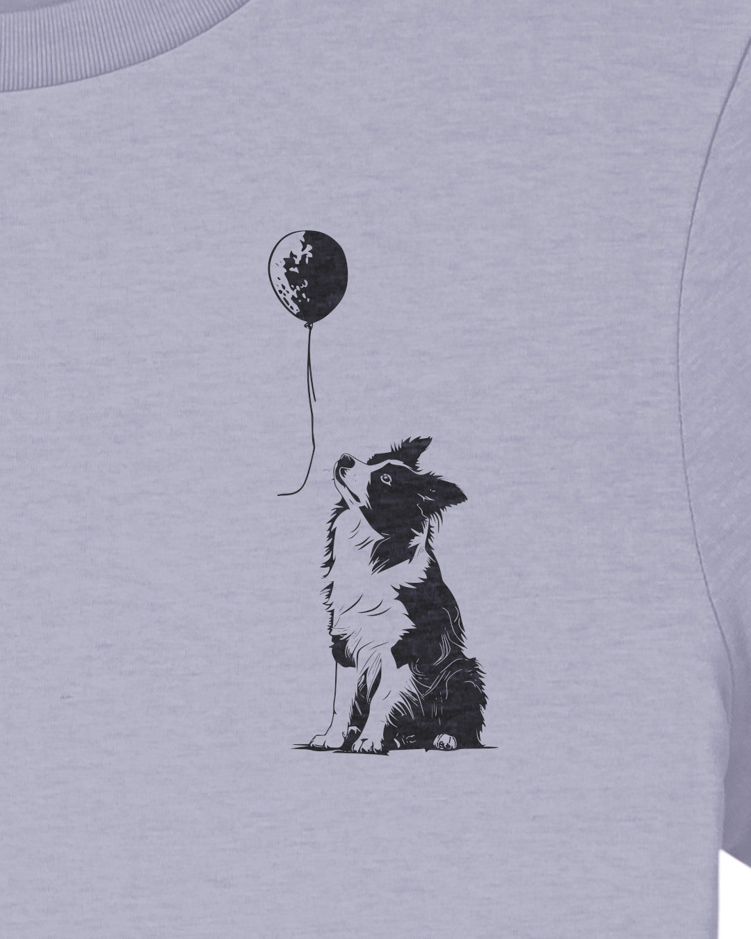 Detailbild – Ballon - Border Collie
