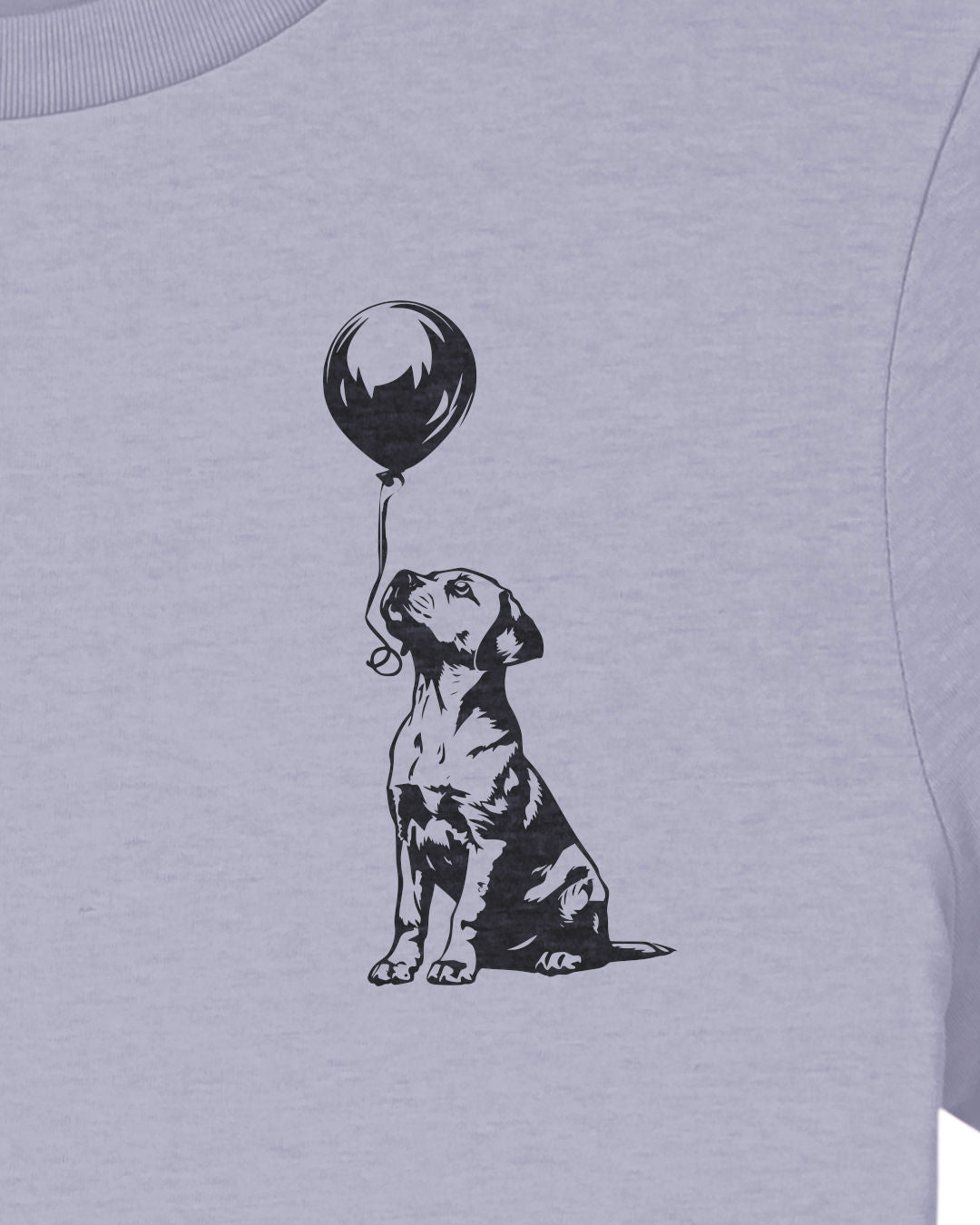 Detailbild – Ballon - Labrador