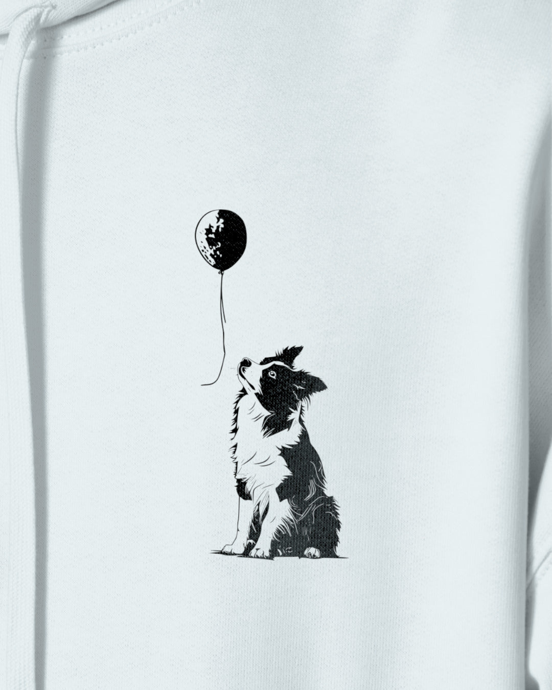 Detailbild – Ballon - Border Collie