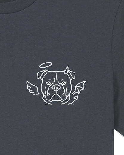 Detailbild – Halo & Horns - American Bully