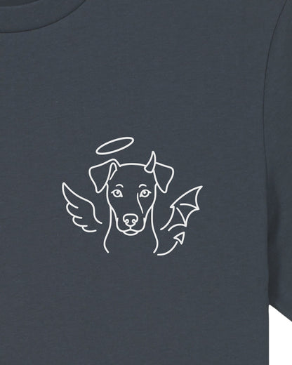 Detailbild – Halo & Horns - Deutscher Pinscher